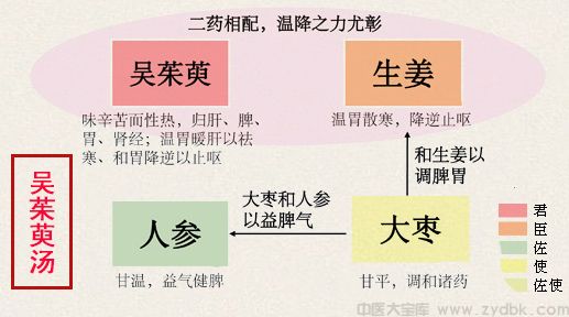 胡希恕吴茱萸汤医案与临证心得(图1)