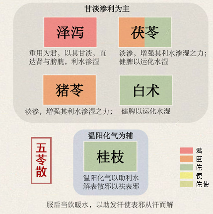 五苓散治脂肪肝三侧(图1)
